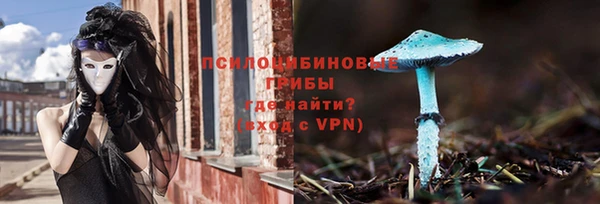 стаф Костерёво