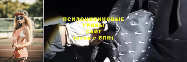 стаф Костерёво