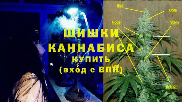 стаф Костерёво