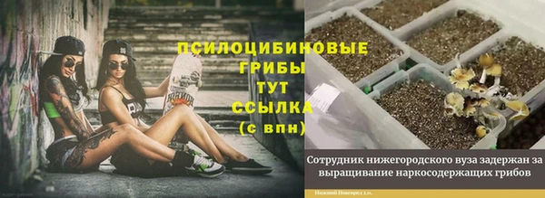 стаф Костерёво