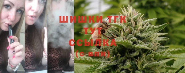 первитин Коряжма