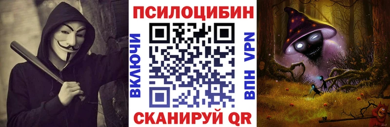 Купить  Аркадак  Псилоцибиновые грибы Psilocybine cubensis 