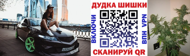 Купить где  Аркадак  Шишки марихуана план 